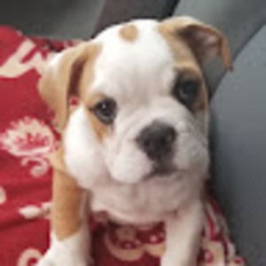 Meet your Posher, Lacie